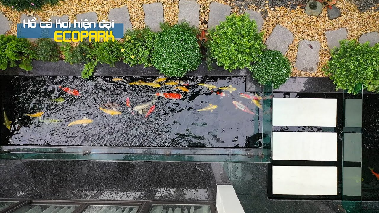 Sân vườn xanh mướt với HỒ CÁ KOI HIỆN ĐẠI tại Ecopark | Lưu Đạt