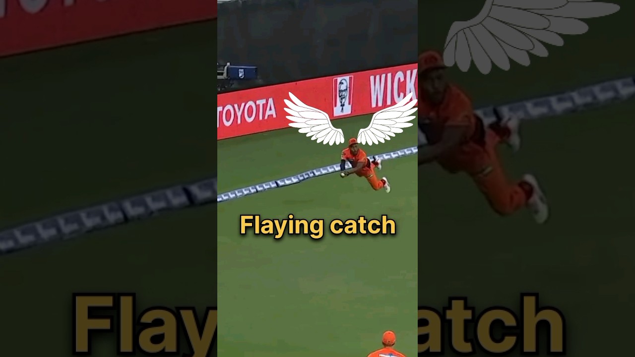 Cricket के best flying catch | #shorts #cricket