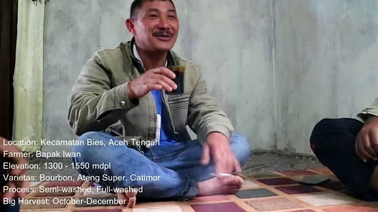 Sumatera Gayo Bies, Aceh Tengah. Inilah video singkat Sumatra coffee Gayo dari kecamatan Bies.