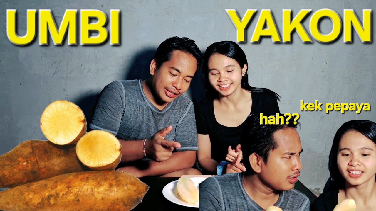 Riview umbi yakon ternyata rasanya kayak giniii..?