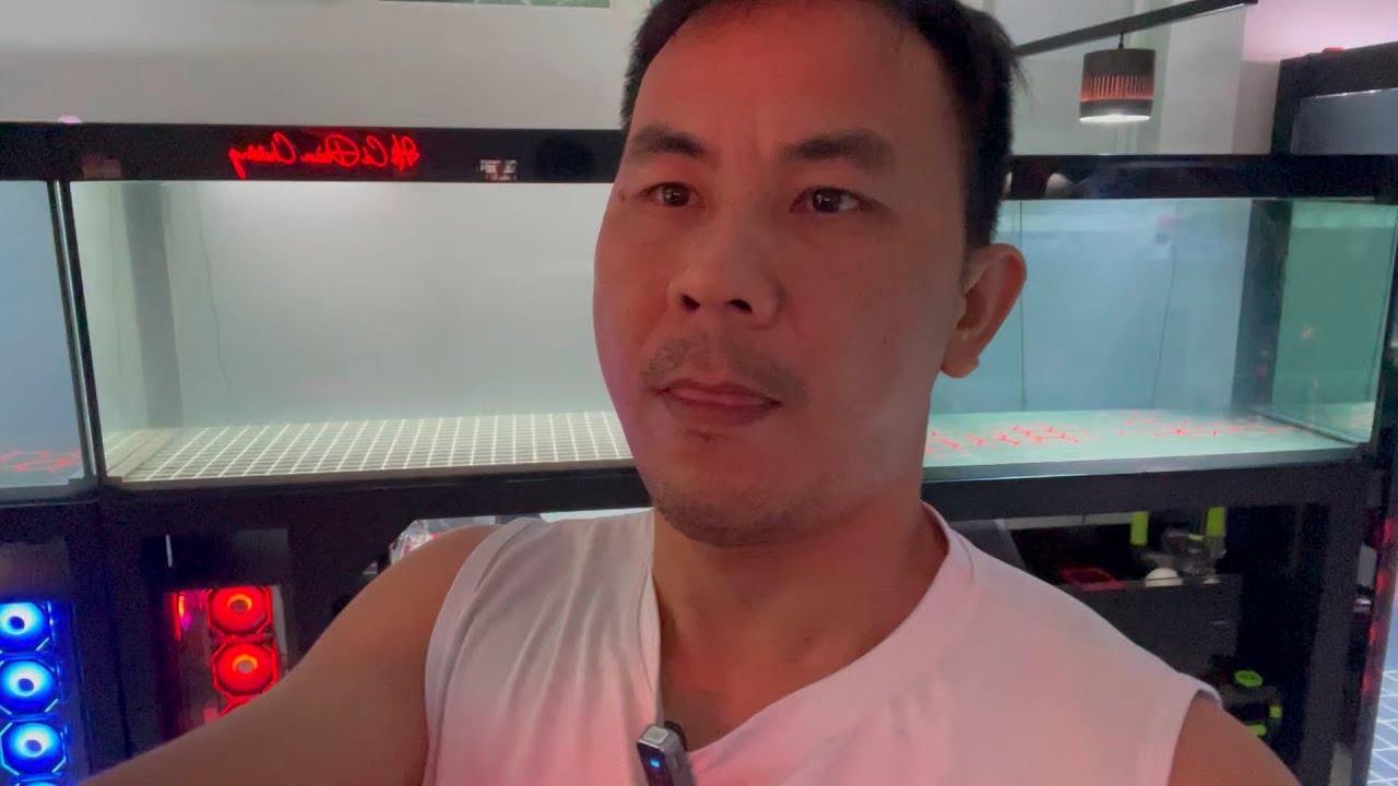 Hàng có sẵn phục vụ ae chơi tết I Hồ cá Đoàn Chương