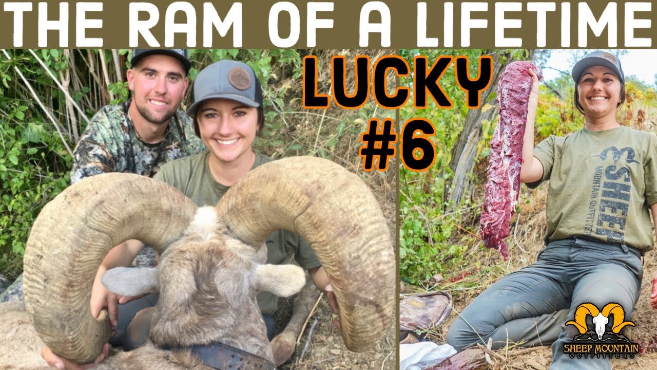 ‘’Lucky #6’’ -The Ram of a Lifetime