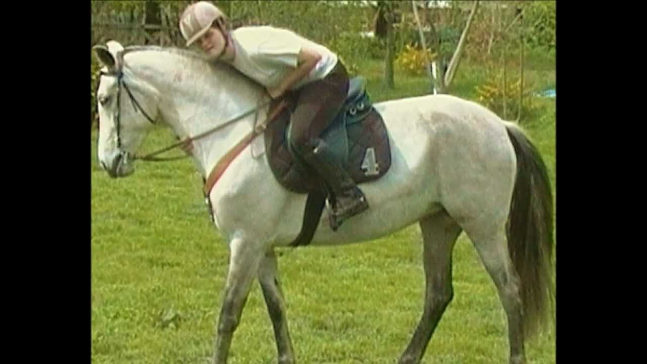 ma jument pure race espagnole