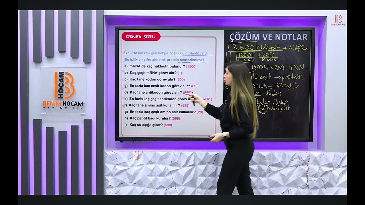 kodon hesaplama soruları