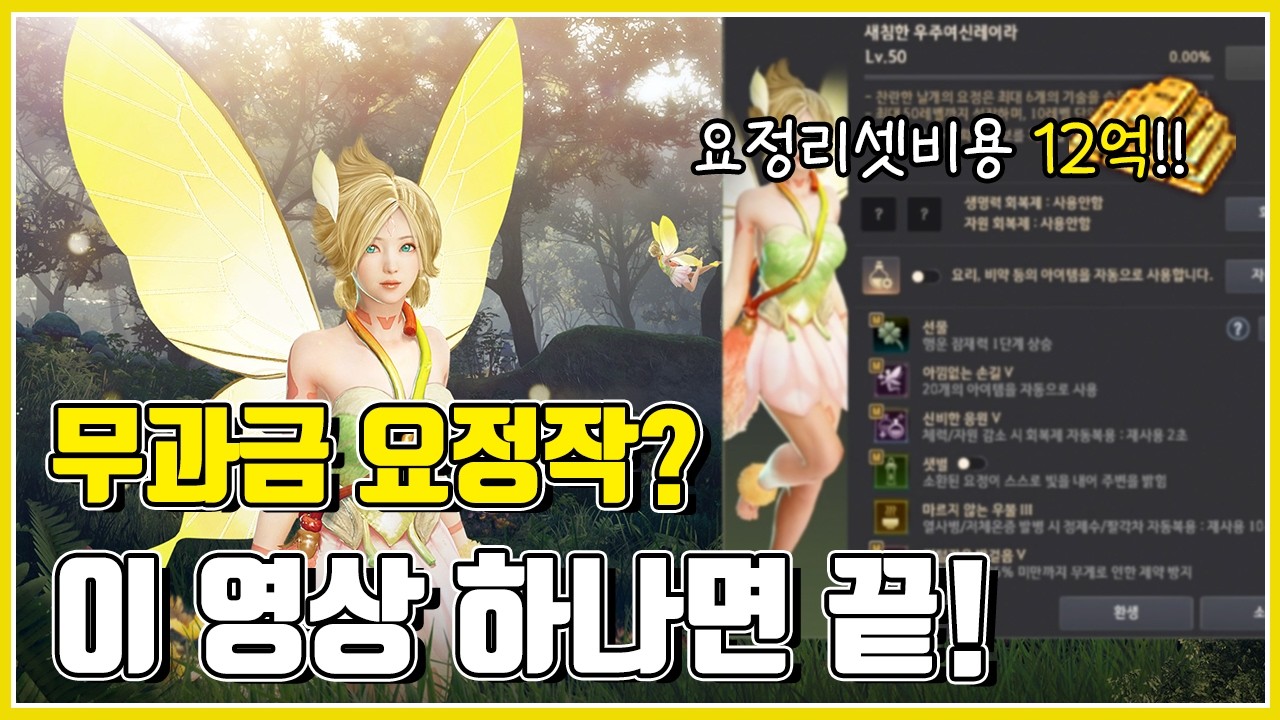 요정작 현질 부담 완화를 위한 초보모험가 무과금 요정작팁#검은사막#레이라의꽃잎#요정#찬란한#신비한응원#아낌없는손길#깃털같은발걸음#BDO