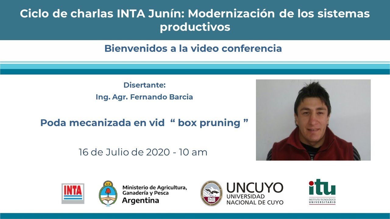 Poda mecanizada en vid “ box pruning ”