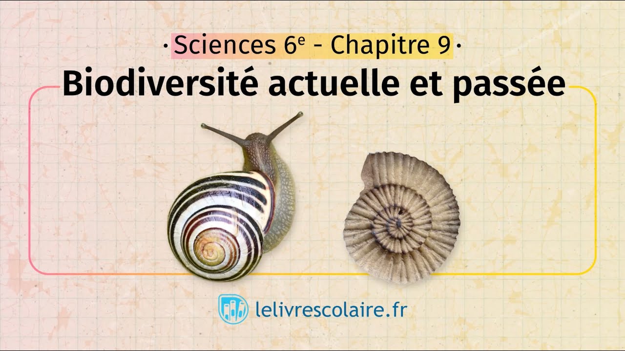Biodiversit&eacute; actuelle et pass&eacute;e (Sciences et Technologie 6e)