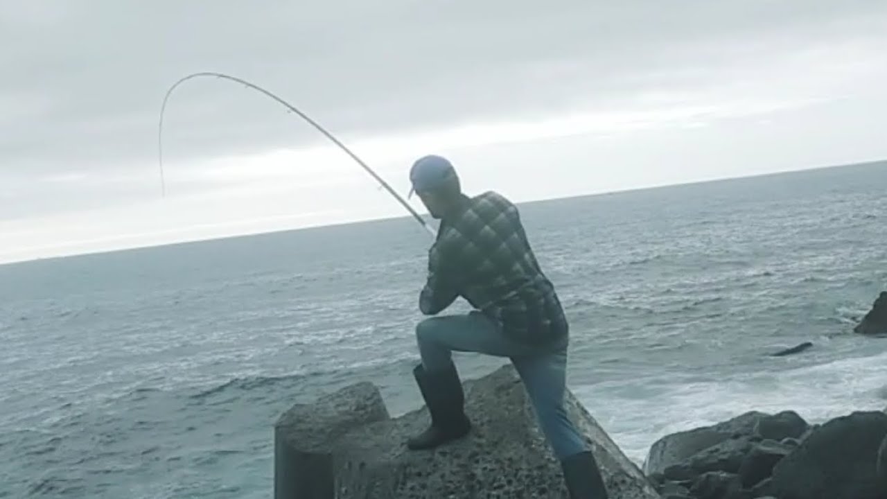 ( Pesca do Sargo ) , última pescaria de 2023 /  pesca Sarago / Fiching.