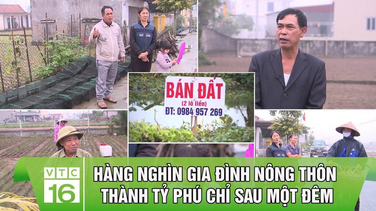 Hàng nghìn gia đình Nông thôn thành tỷ phú chỉ sau một đêm | VTC16