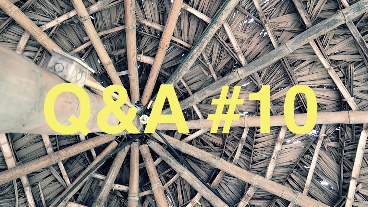 [NV#080] Joga, WOŚP i skąd mam pieniądze? (Q&A#10)