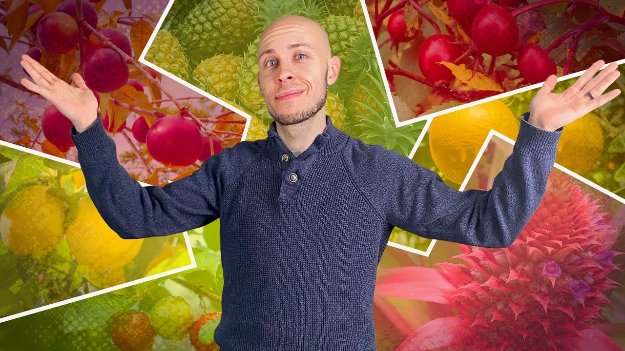 Vitamin C, The Rest of The Story