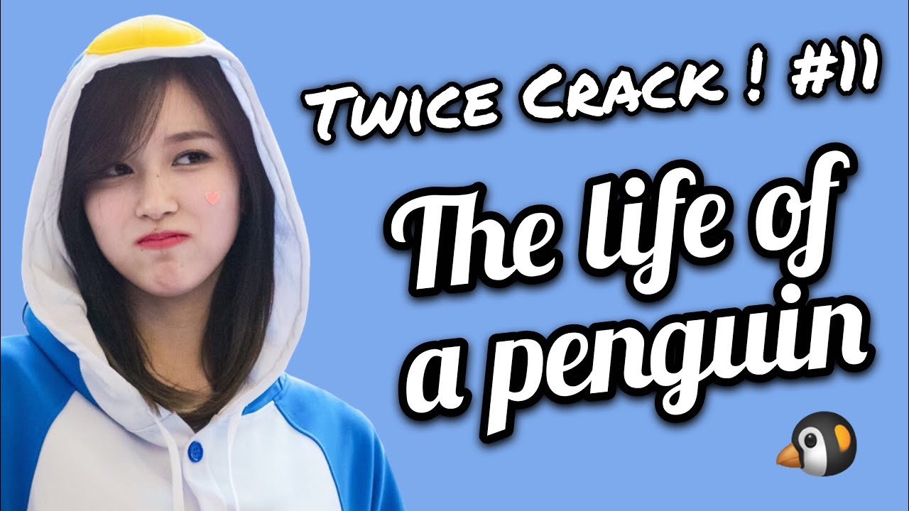 [Twice on Crack! #11] (Mina Edition!) The penguin named Myoui Mina