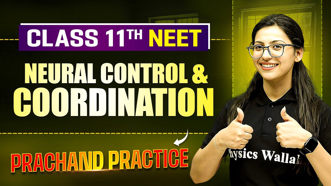 Neural Control & Coordination PYQ's Video Solution | PRACHAND Practice Series | NEET 2025