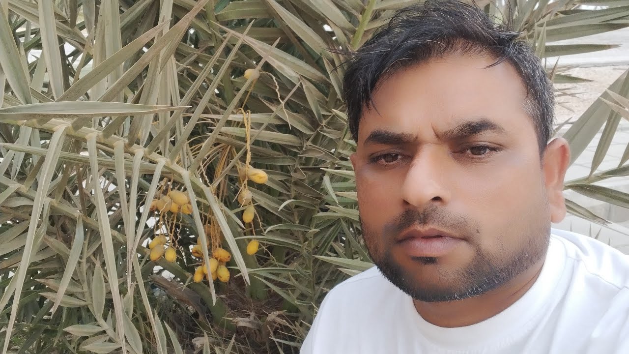 आप सभी मेरे प्यारे भाई बहनों का मेरी जिंदगी में स्वागत है