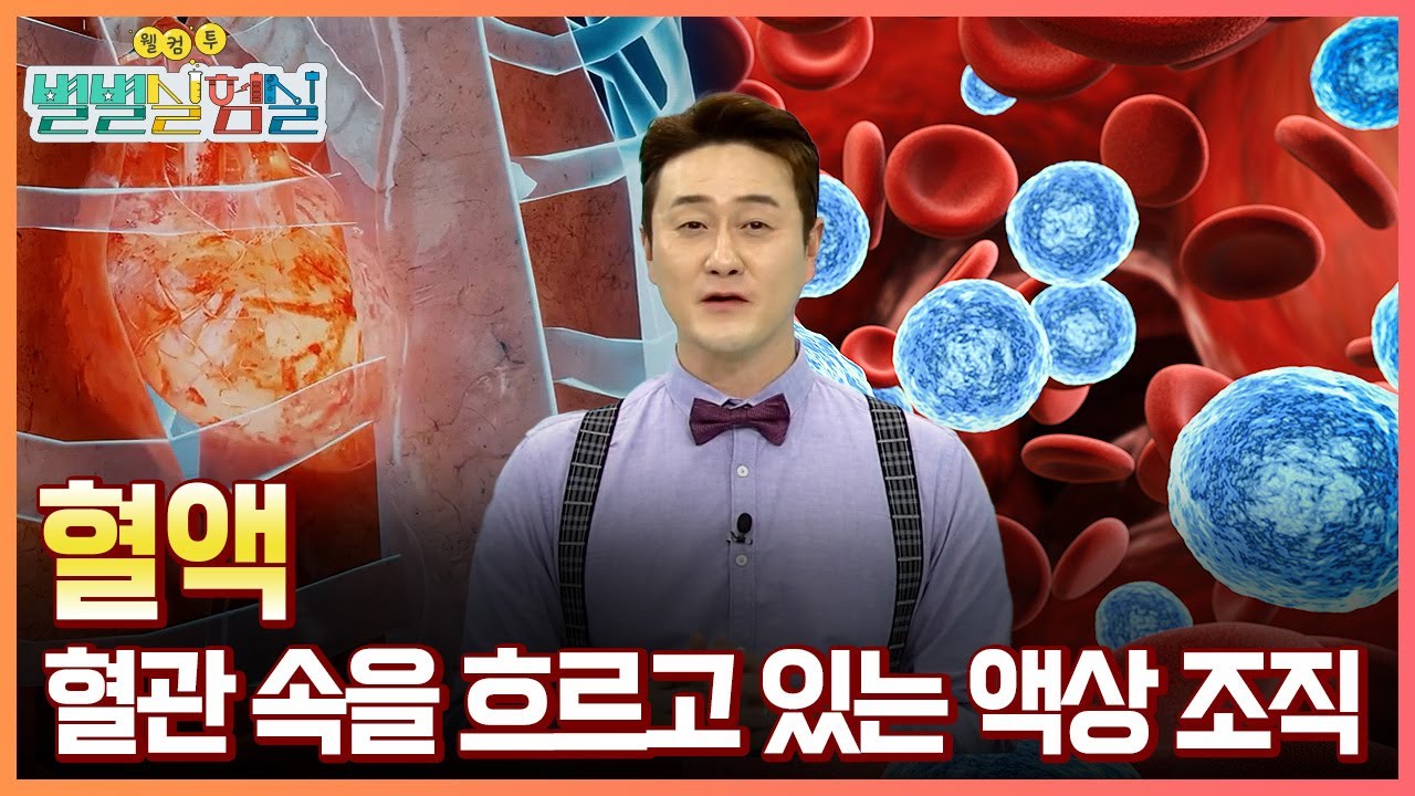 [별별실험실] 피를 보여주마! 혈액 / YTN 사이언스