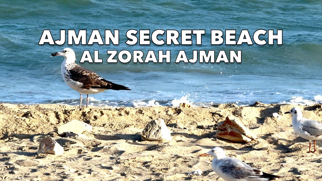 Ajman Secret Beach Al Zorah Ajman UAE