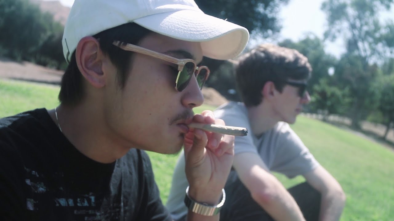 Meeting 2 of the CREATORS of THE WEEDTUBE - How we got started