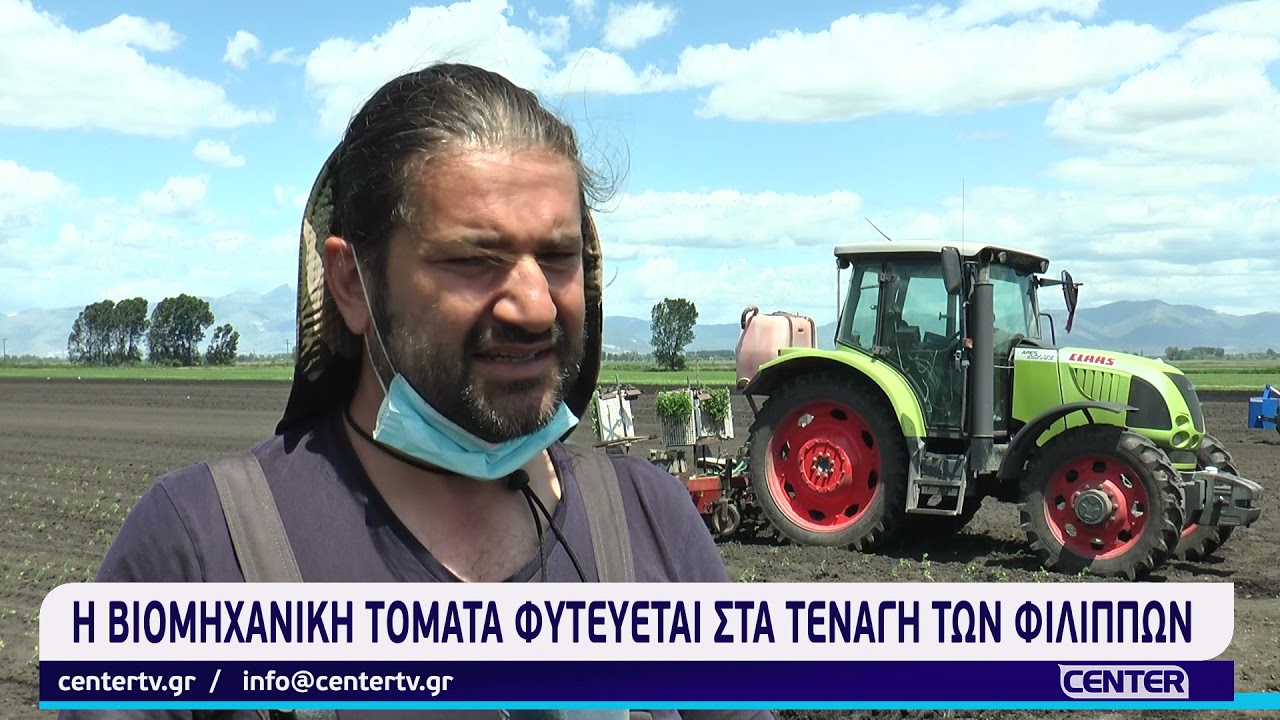 Η βιομηχανική τομάτα φυτεύεται στα Τενάγη των Φιλίππων