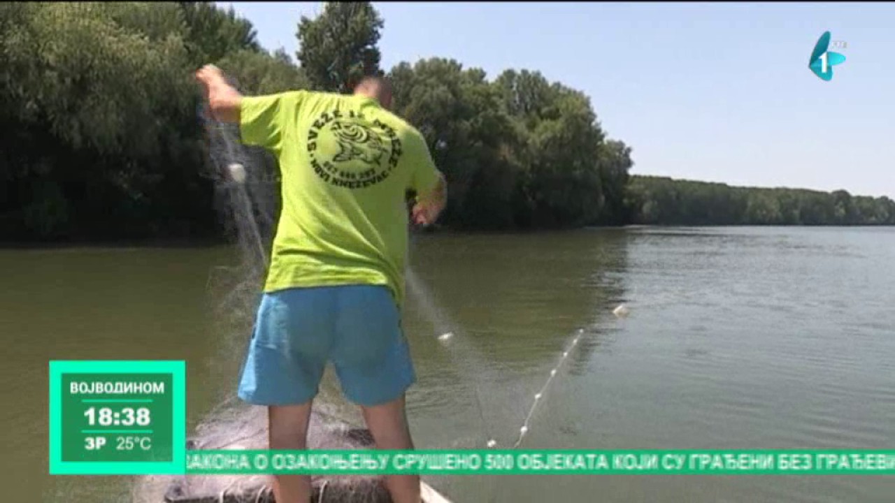 Pune mreže alasa sa Tise