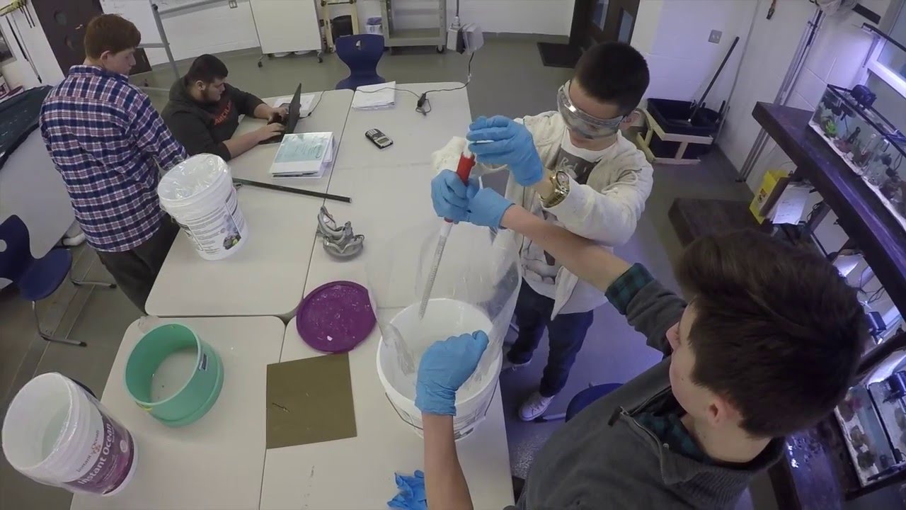 MSMHS NEASC Video 2016