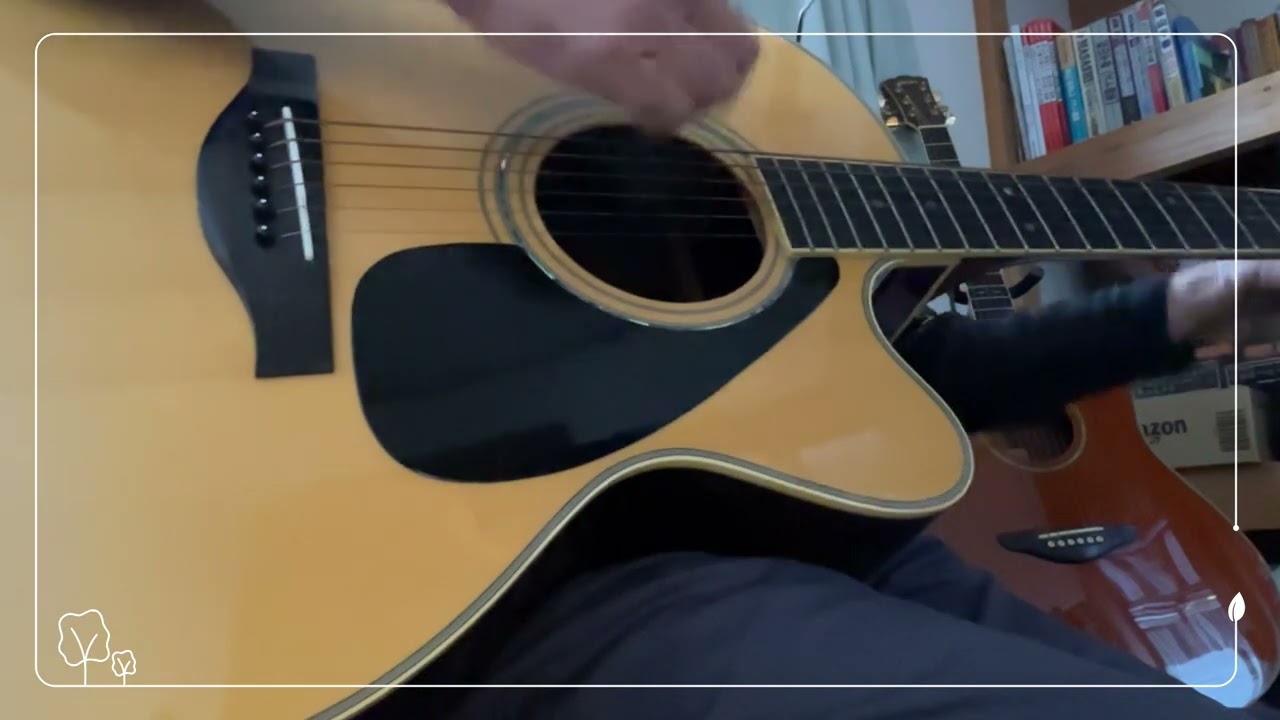 さだまさし　MOTTAINAI   弾き語り　COVER