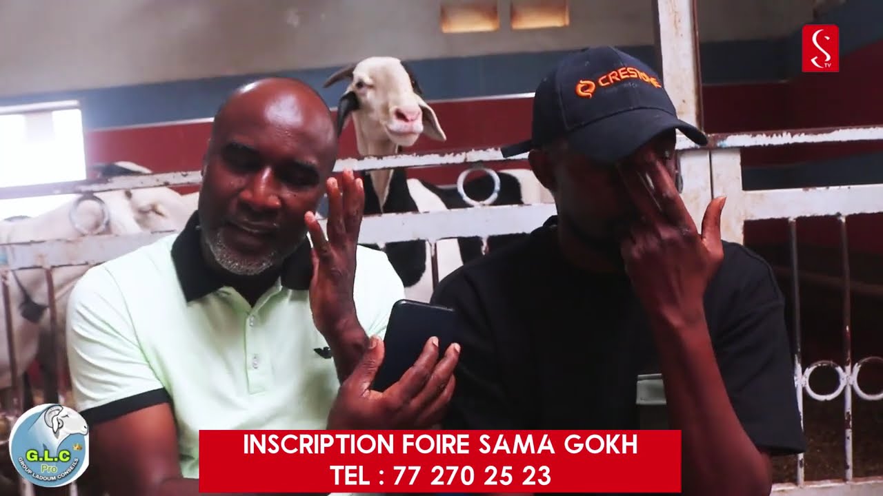 1ere EDITION FOIRE SAMA GOKH - CHEZ MAMADOU DRAME ( BERGERIE LADOUME SN )