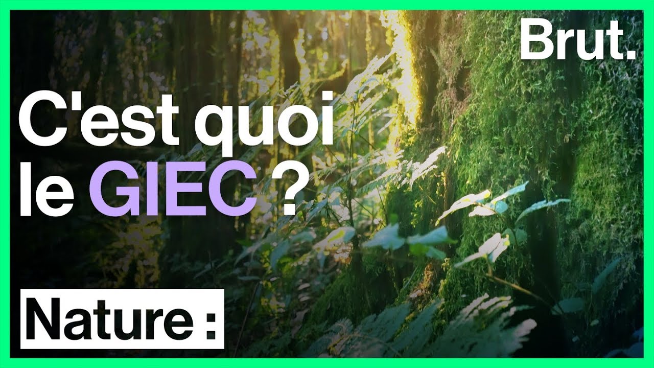 C'est quoi le GIEC ?