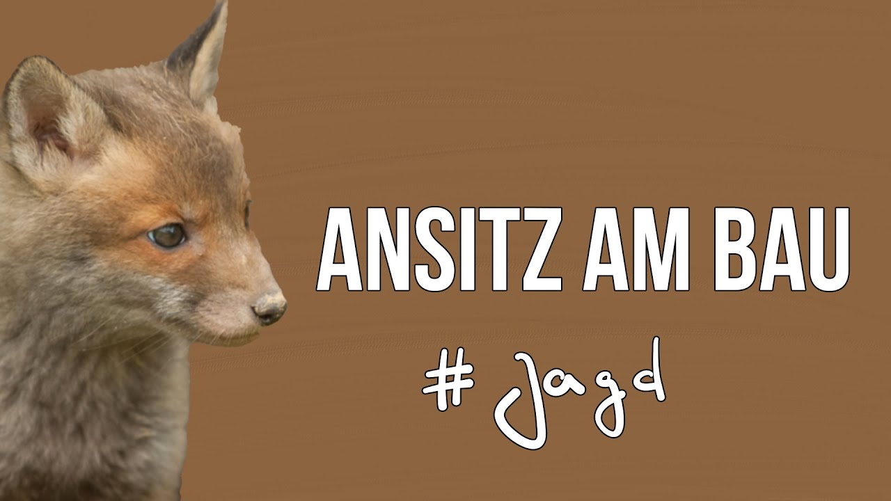 Freunde der Jagd - Folge 18 - Jagd auf Jungf&uuml;chse I Teil 2 - Der Ansitz