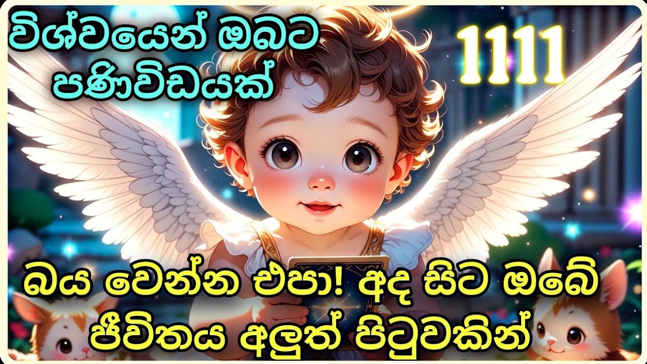​විශ්වයෙන් ඔබට ලැබුණු පණිවිඩය 🌌 | Angel Message Sinhala #angelnumber1111  #Sinhala #Lagnapalapala
