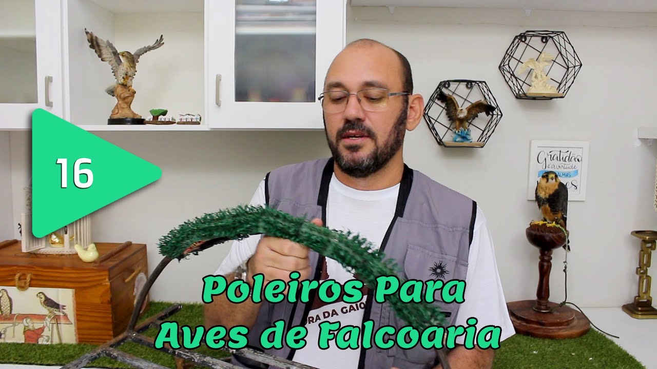 #016 - Poleiros Para Aves de Falcoaria