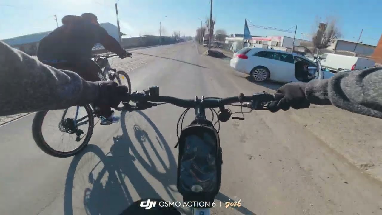 NE-AU ATACAT CÂINII ȘI LA ÎNTOARCERE :))