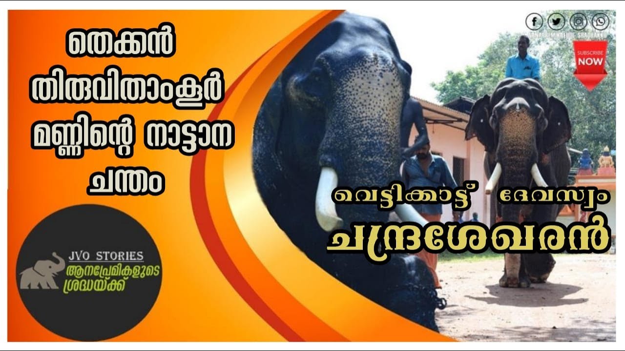 Vettikattu Chandrasekharan | വെട്ടിക്കാട്ട് ദേവസ്വം ചന്ദ്രശേഖരൻ | Life Story