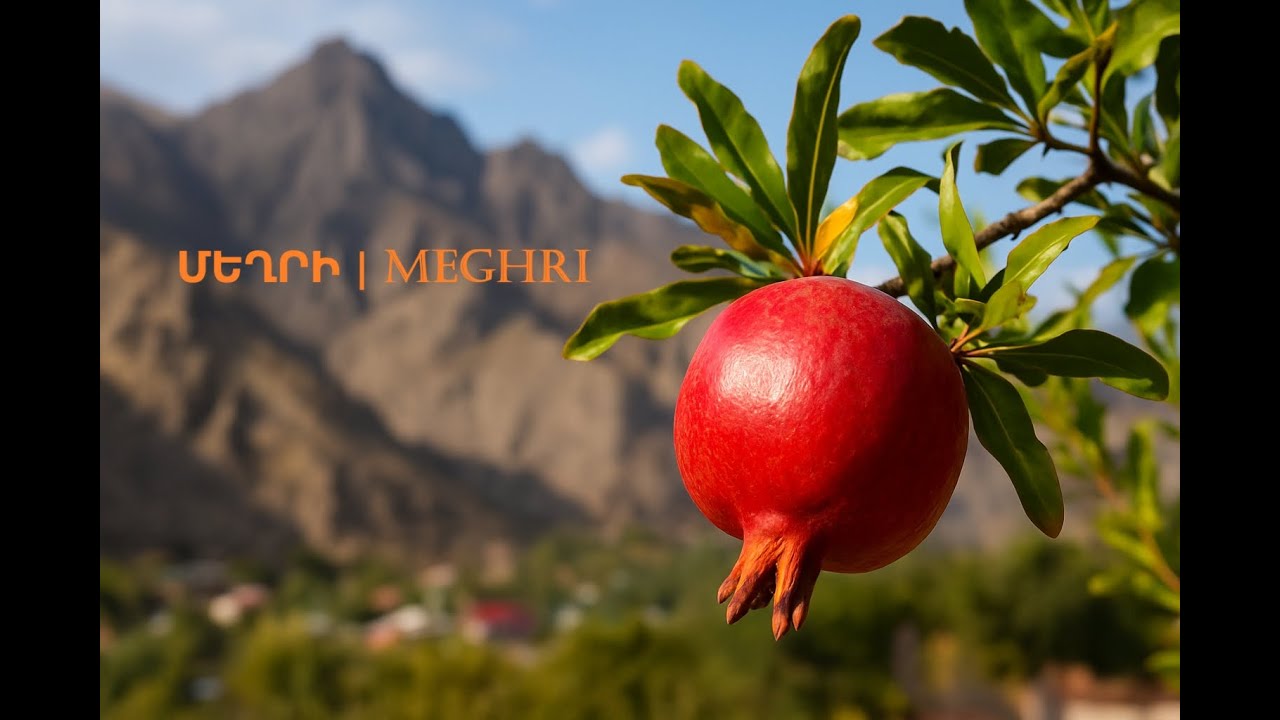 Մեկ օր Մեղրի քաղաքում | One Day in Meghri city
