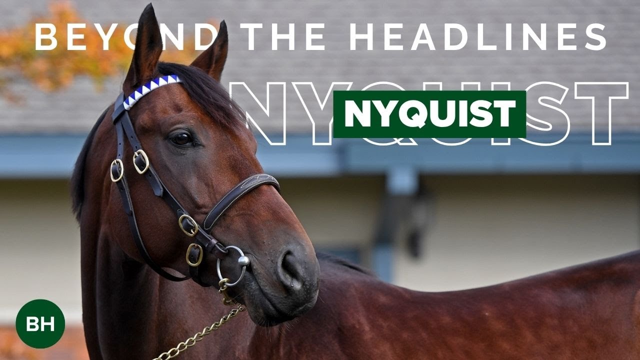 Beyond the Headlines: Nyquist
