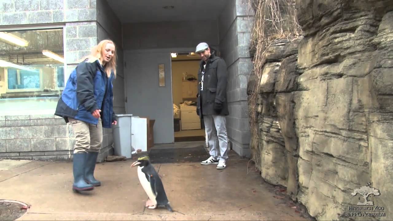 Penguins' Max Talbot Meets Tiger with Same Name