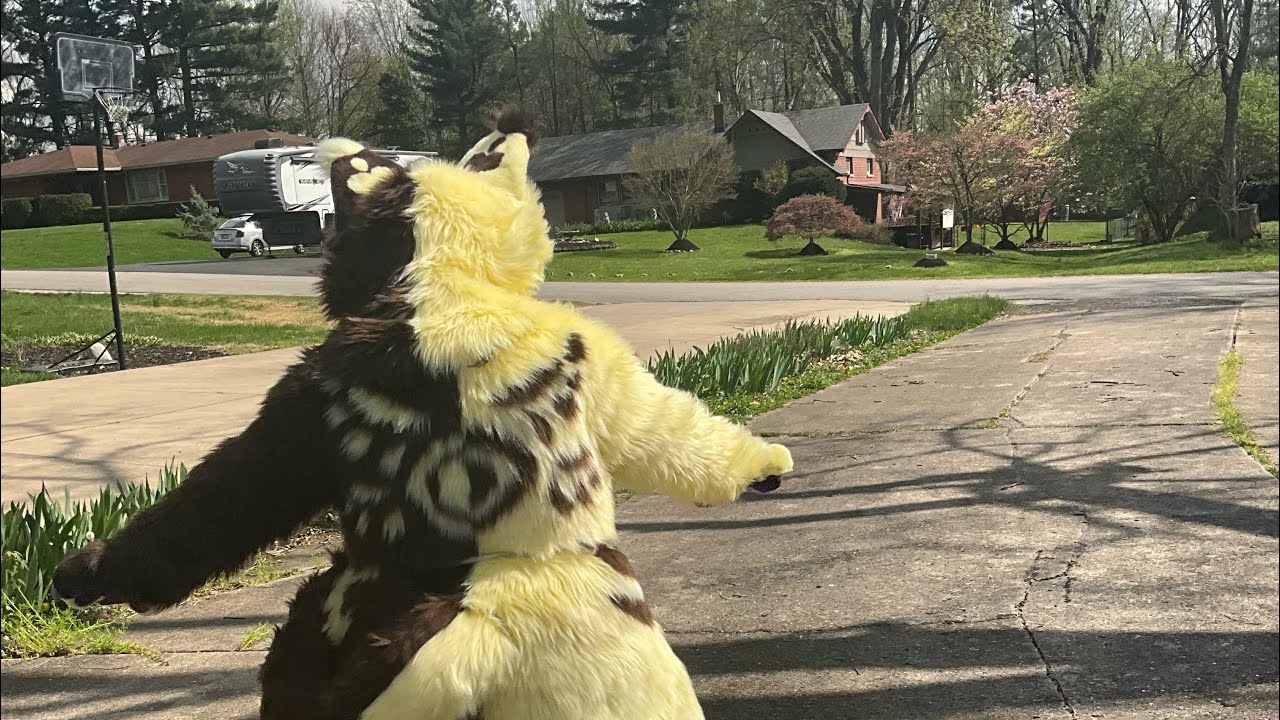 Catswell unboxing : fursuit unboxing