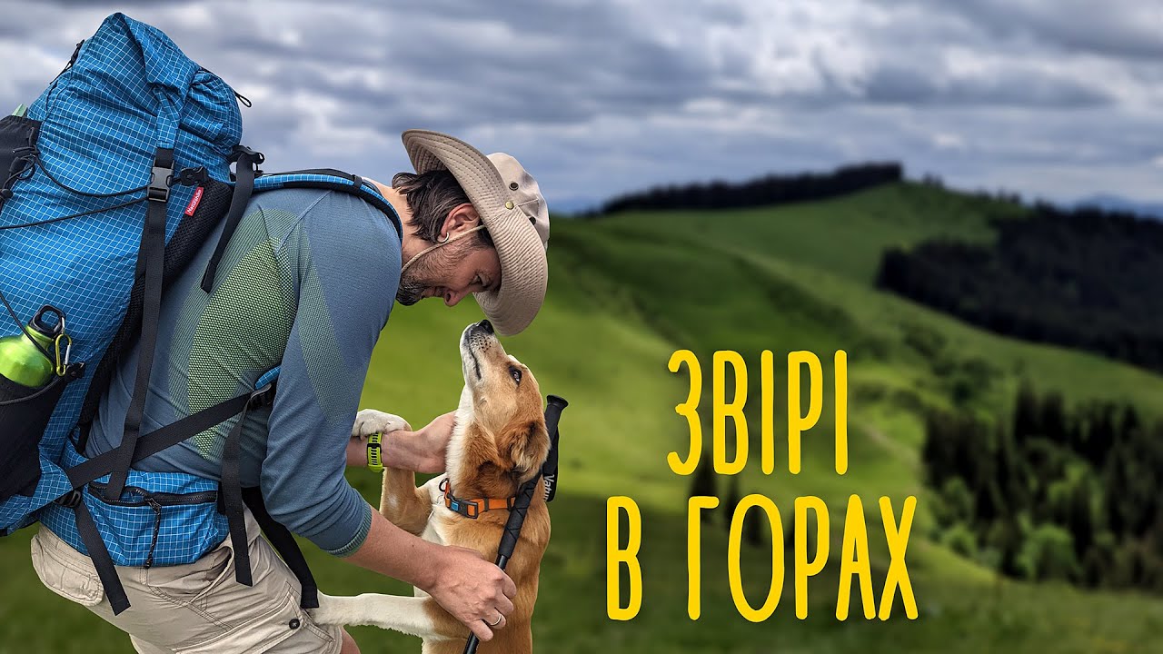 Похід Карпатами від Плоскої до Довгої 🏕 Кемпінг 