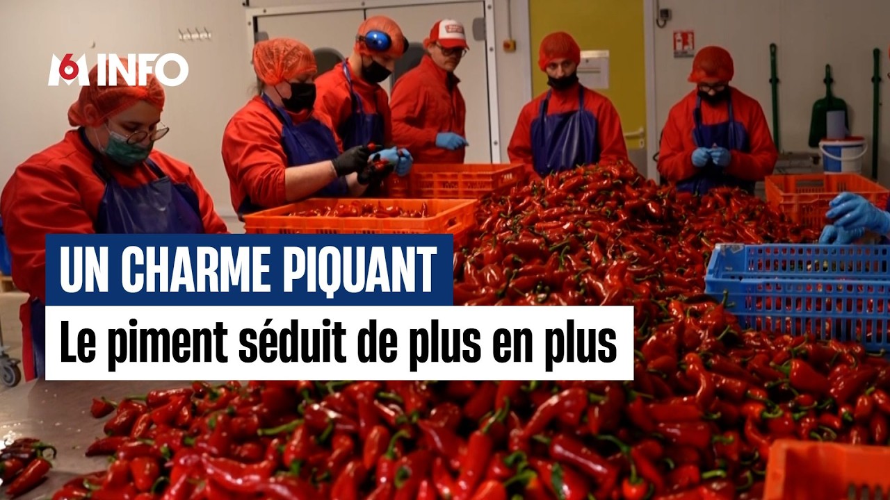 Le piment, tendance gustative du moment