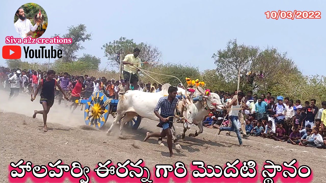 హాలహర్వి ఈరన్న గారి మొదటి స్థానం //Halaharvi Eranna Racing 2022