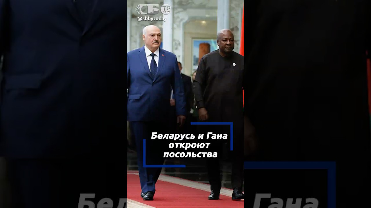 Послы, комитет, контракты. Лукашенко о том, как Беларусь и Гана будут расширять партнерство