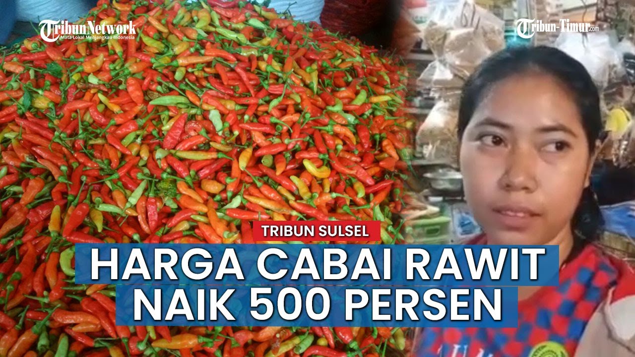 Cabai Rawit di Pasar Toddopuli Makassar Melonjak 500 persen Menjelang Akhir Tahun