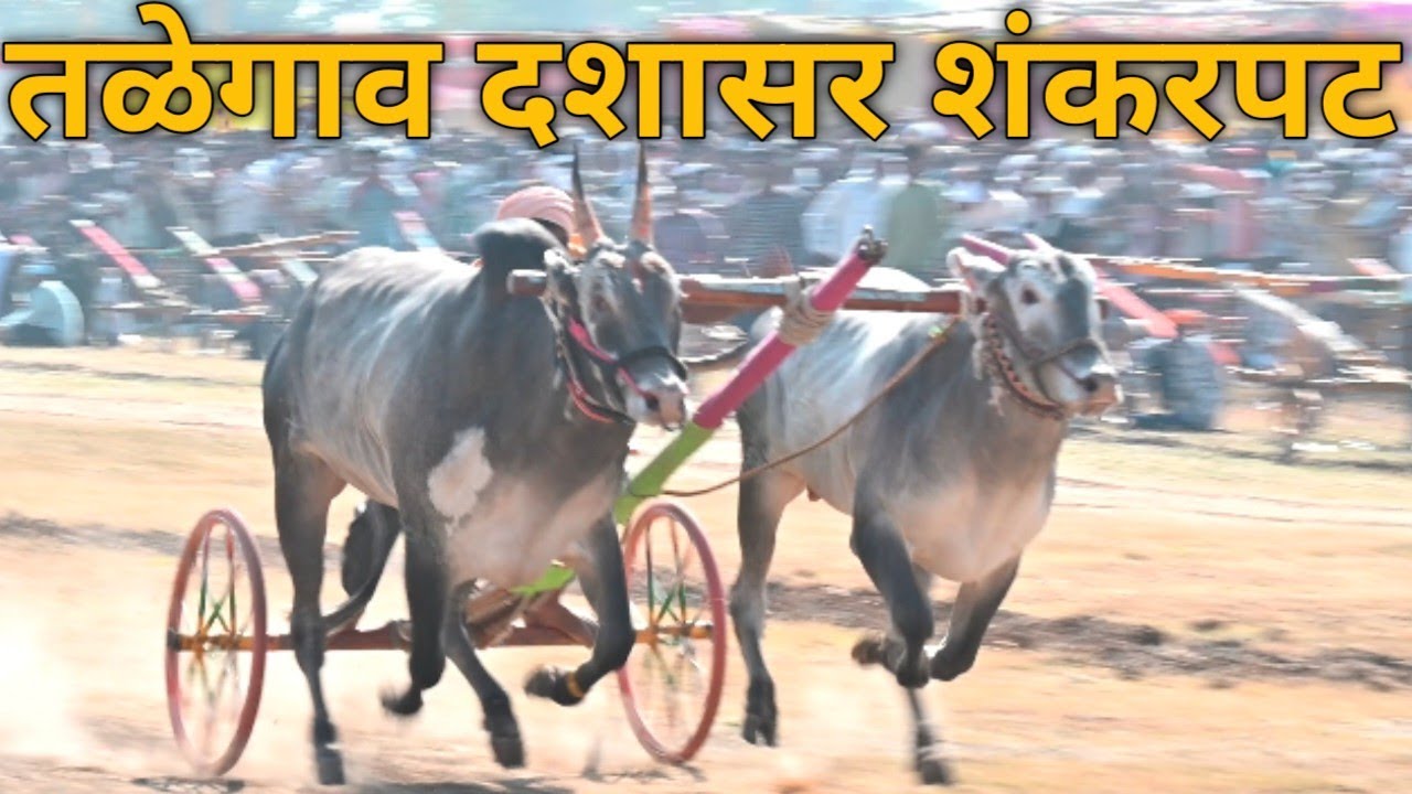 talegaon dashasar shankar pat 2026