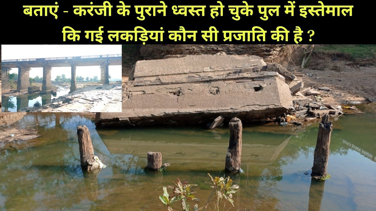 कोयर नाला करंजी का पुराना पुल / कौन सी लकड़ीयां इस्तेमाल की गई है जो आज तक नहीं सड़ी ? 