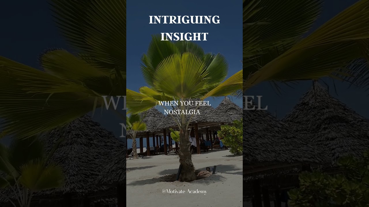 Unlocking the Power of Nostalgia: Boosting Social Connection through Memory Lane 