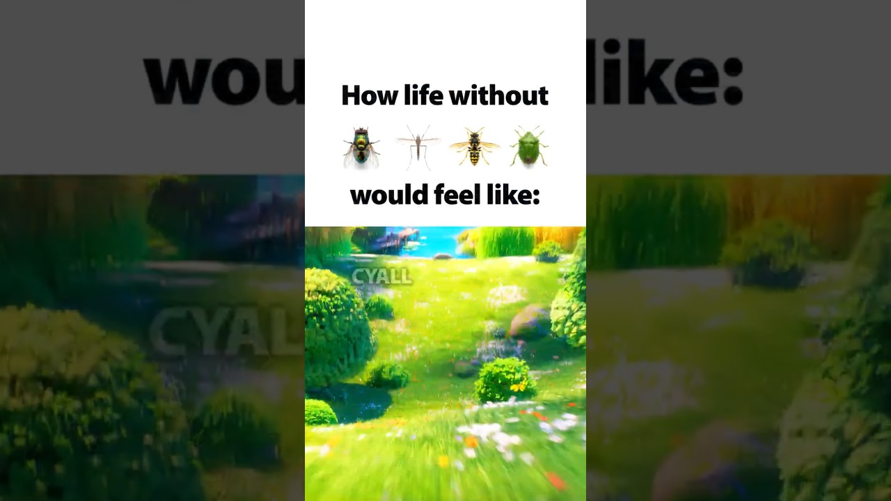 #aliza 🥲
