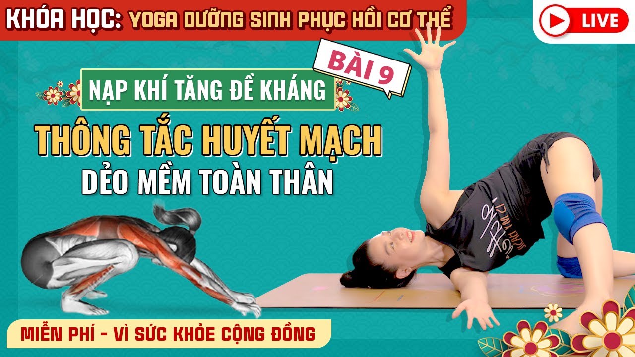 Bài 9: Yoga dưỡng sinh phục hồi cơ thể / Thông tắc huyết mạch, Dẻo mềm toàn thân / Nguyễn Hiếu Yoga