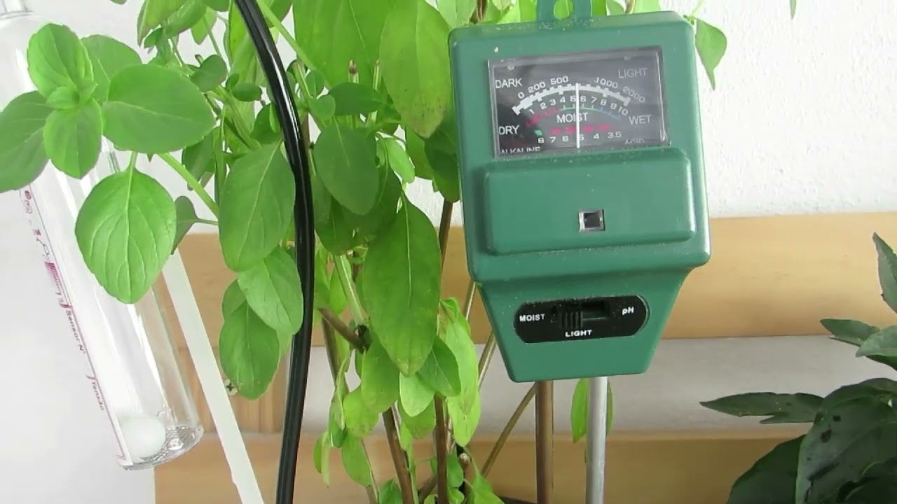 Medidores de umidade do solo funcionam ou não?