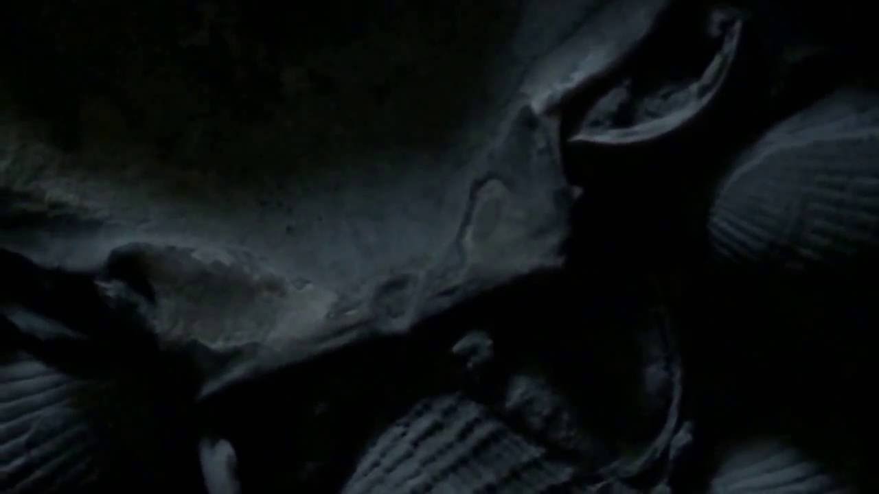 Prof. Winkler -In your head (Fetisch dub mix) - OFFICIAL VIDEO