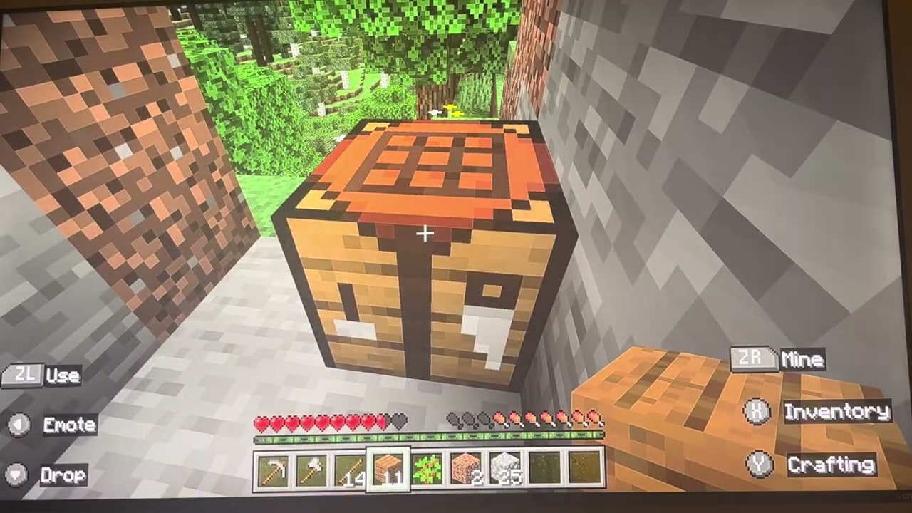 The start of the Minecraft survival journey.