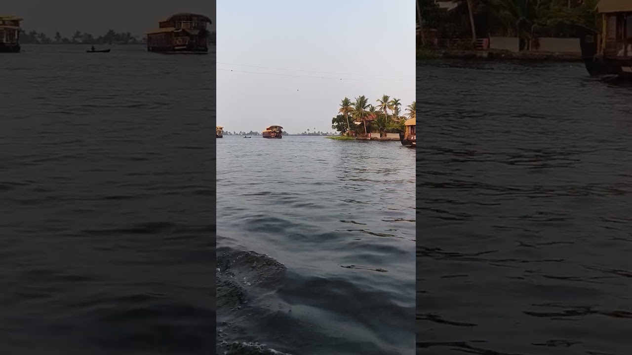 #reels #shortvideo #travel #shortsfeed #viralvideo #kerala #house boat#boating #nature #backwater